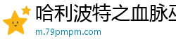 哈利波特之血脉巫师纯洁小天使